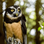 jeremy-hynes-F2RmbxDDkLc-unsplash jeremy-hynes-F2RmbxDDkLc-unsplash